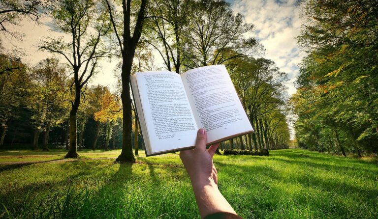 book, hand, reading, read, sunset, garden, grass, education, freedom, story, knowledge, information, dictionary, study, landscape, trees, park, nature, backlighting, dictionary, dictionary, dictionary, dictionary, dictionary